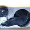 Gramovox - Gramophone 2.0
