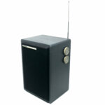 Radio ingra music-box 67