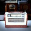RCA Victor BX6 “Globe Trotter”
